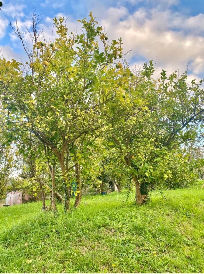 Casa Outeiro Villa Betanzos Bagian luar foto